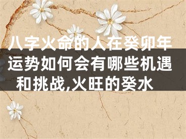 八字火命的人在癸卯年运势如何会有哪些机遇和挑战,火旺的癸水