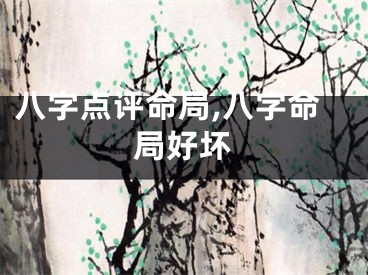八字点评命局,八字命局好坏