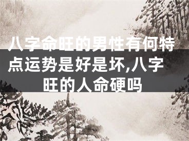 八字命旺的男性有何特点运势是好是坏,八字旺的人命硬吗