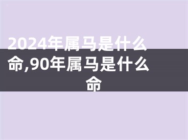 2024年属马是什么命,90年属马是什么命