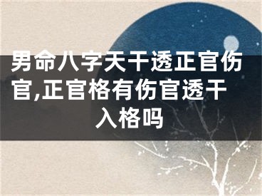 男命八字天干透正官伤官,正官格有伤官透干入格吗