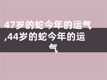 47岁的蛇今年的运气,44岁的蛇今年的运气