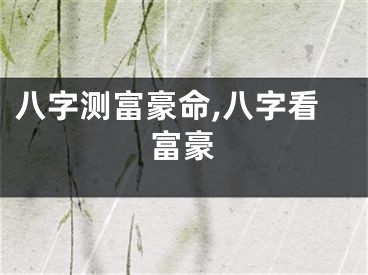 八字测富豪命,八字看富豪