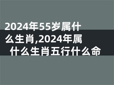 2024年55岁属什么生肖,2024年属什么生肖五行什么命
