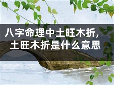 八字命理中土旺木折,土旺木折是什么意思