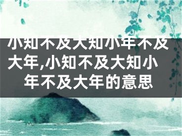 小知不及大知小年不及大年,小知不及大知小年不及大年的意思
