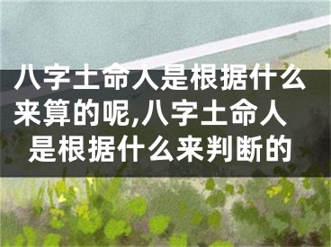 八字土命人是根据什么来算的呢,八字土命人是根据什么来判断的