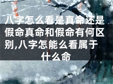 八字怎么看是真命还是假命真命和假命有何区别,八字怎能么看属于什么命