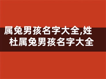 属兔男孩名字大全,姓杜属兔男孩名字大全