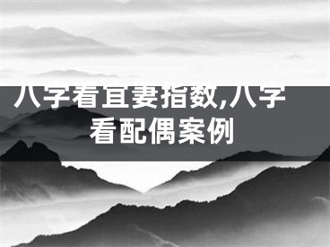 八字看宜妻指数,八字看配偶案例