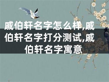 戚伯轩名字怎么样,戚伯轩名字打分测试,戚伯轩名字寓意