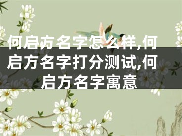 何启方名字怎么样,何启方名字打分测试,何启方名字寓意