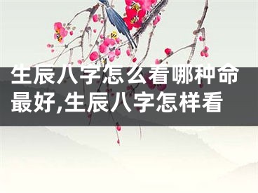 生辰八字怎么看哪种命最好,生辰八字怎样看