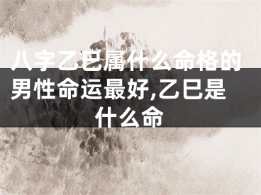 八字乙巳属什么命格的男性命运最好,乙巳是什么命