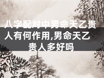 八字配对中男命天乙贵人有何作用,男命天乙贵人多好吗