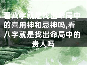 看八字就是找出命局中的喜用神和忌神吗,看八字就是找出命局中的贵人吗