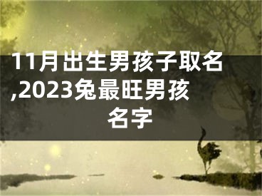 11月出生男孩子取名,2023兔最旺男孩名字