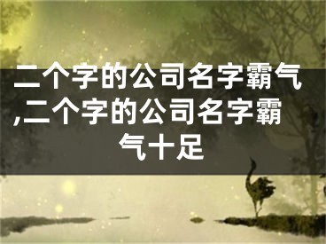 二个字的公司名字霸气,二个字的公司名字霸气十足