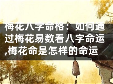 梅花八字命格：如何通过梅花易数看八字命运,梅花命是怎样的命运