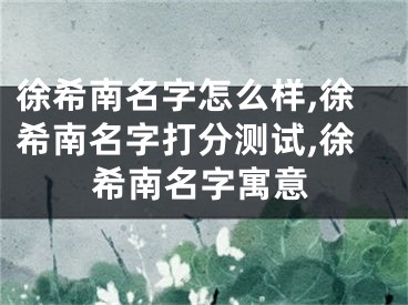 徐希南名字怎么样,徐希南名字打分测试,徐希南名字寓意
