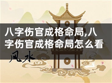 八字伤官成格命局,八字伤官成格命局怎么看