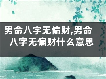 男命八字无偏财,男命八字无偏财什么意思