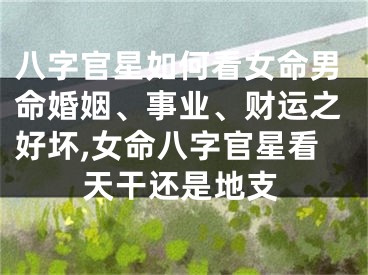 八字官星如何看女命男命婚姻、事业、财运之好坏,女命八字官星看天干还是地支