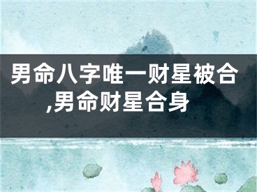 男命八字唯一财星被合,男命财星合身