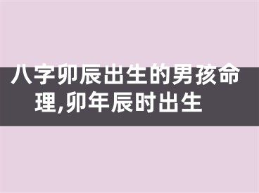 八字卯辰出生的男孩命理,卯年辰时出生