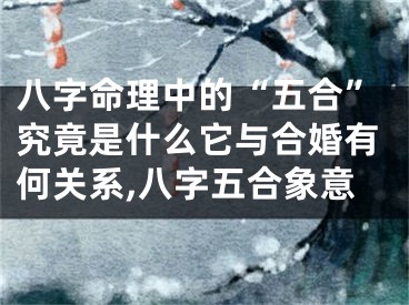 八字命理中的“五合”究竟是什么它与合婚有何关系,八字五合象意