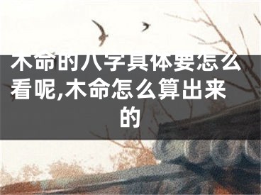 木命的八字具体要怎么看呢,木命怎么算出来的