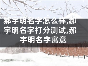 郝宇明名字怎么样,郝宇明名字打分测试,郝宇明名字寓意