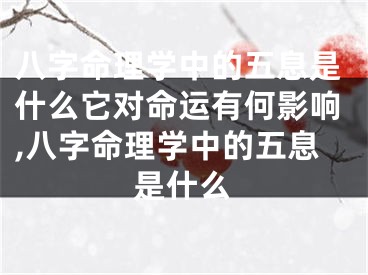 八字命理学中的五息是什么它对命运有何影响,八字命理学中的五息是什么