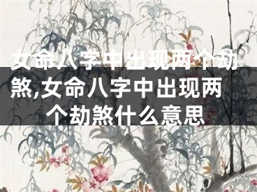 女命八字中出现两个劫煞,女命八字中出现两个劫煞什么意思