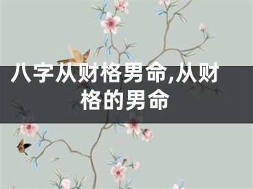 八字从财格男命,从财格的男命