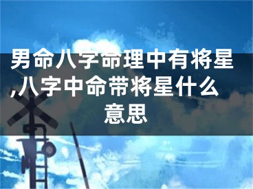 男命八字命理中有将星,八字中命带将星什么意思