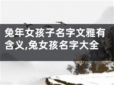 兔年女孩子名字文雅有含义,兔女孩名字大全