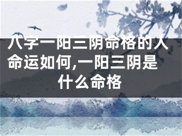 八字一阳三阴命格的人命运如何,一阳三阴是什么命格