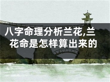 八字命理分析兰花,兰花命是怎样算出来的