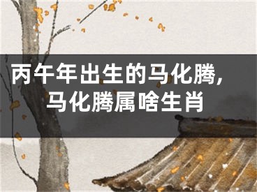 丙午年出生的马化腾,马化腾属啥生肖