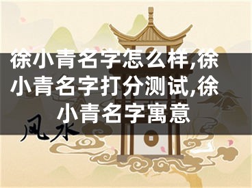 徐小青名字怎么样,徐小青名字打分测试,徐小青名字寓意