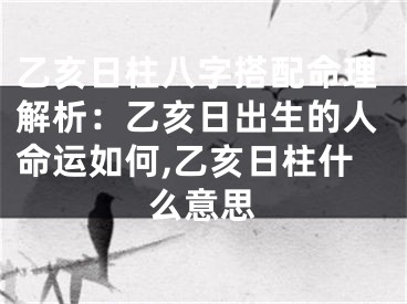 乙亥日柱八字搭配命理解析：乙亥日出生的人命运如何,乙亥日柱什么意思