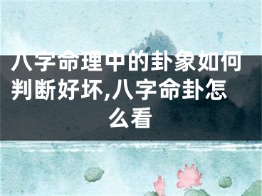 八字命理中的卦象如何判断好坏,八字命卦怎么看