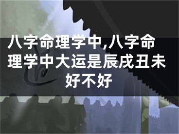八字命理学中,八字命理学中大运是辰戌丑未好不好