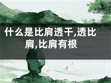 什么是比肩透干,透比肩,比肩有根