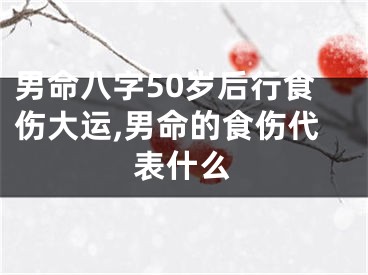 男命八字50岁后行食伤大运,男命的食伤代表什么