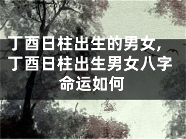 丁酉日柱出生的男女,丁酉日柱出生男女八字命运如何