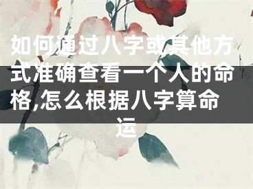 如何通过八字或其他方式准确查看一个人的命格,怎么根据八字算命运
