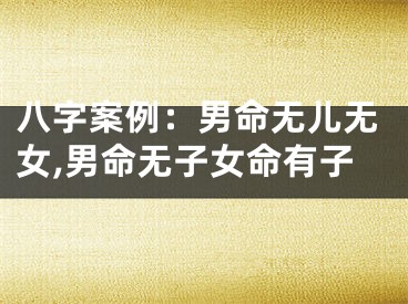八字案例：男命无儿无女,男命无子女命有子