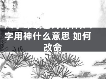 八字命硬己为用神,八字用神什么意思 如何改命